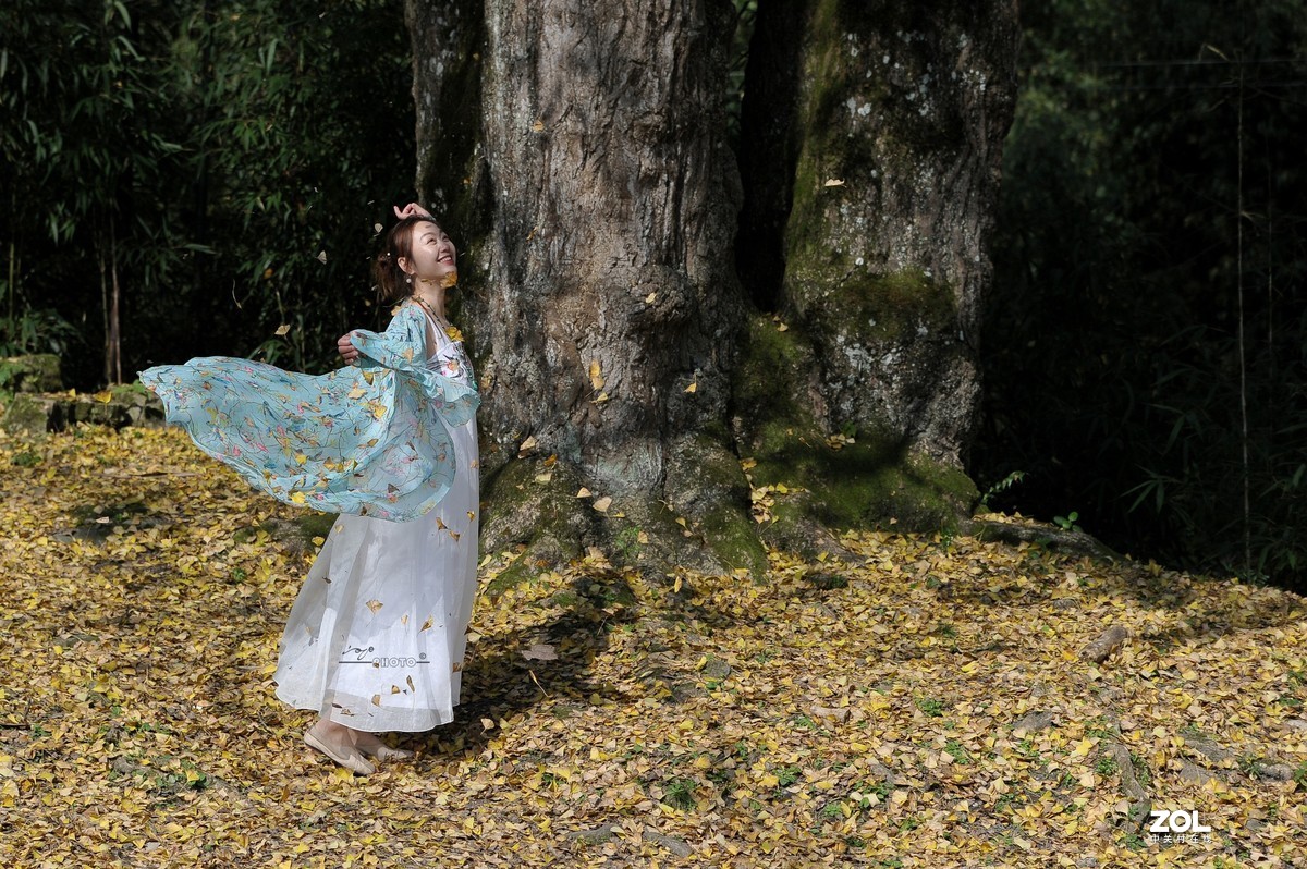 银杏树下（环境人像）