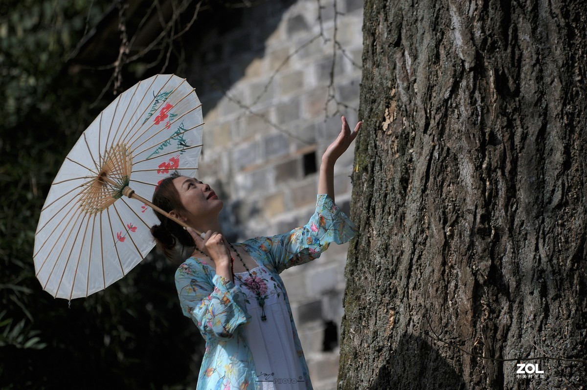 银杏树下（环境人像）