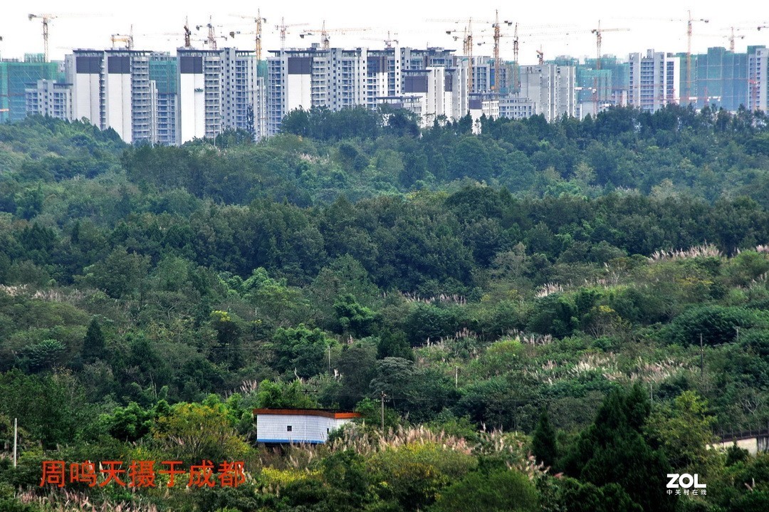 成都东部新区扫描      周鸣天