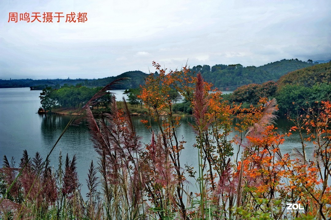 成都东部新区扫描      周鸣天