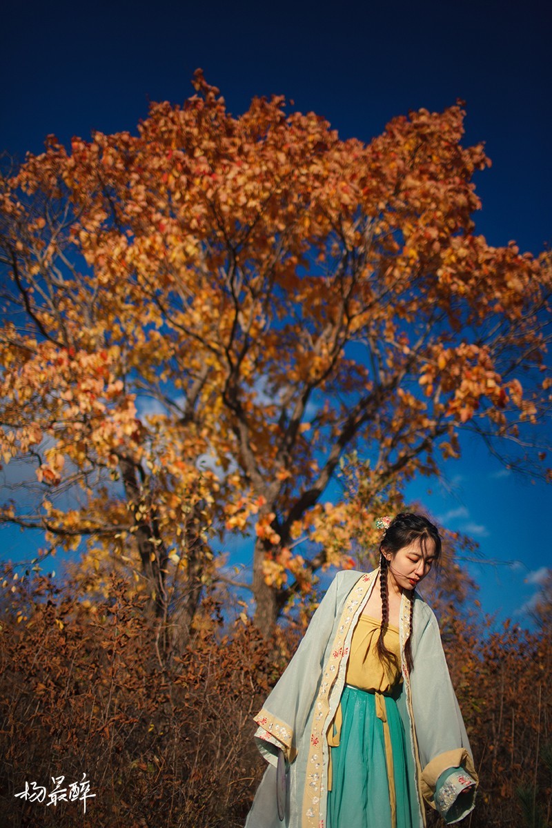 伴云归，迎风艳