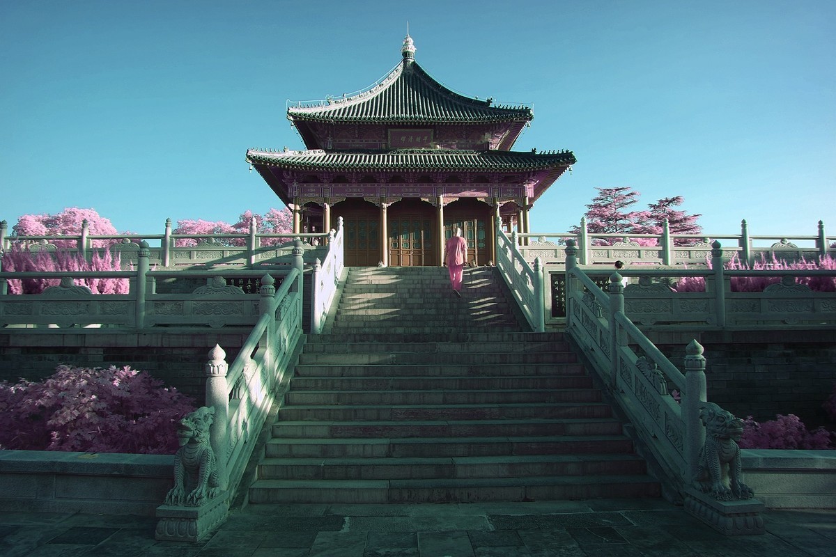 西安兴庆公园小景（530nm滤镜初试）