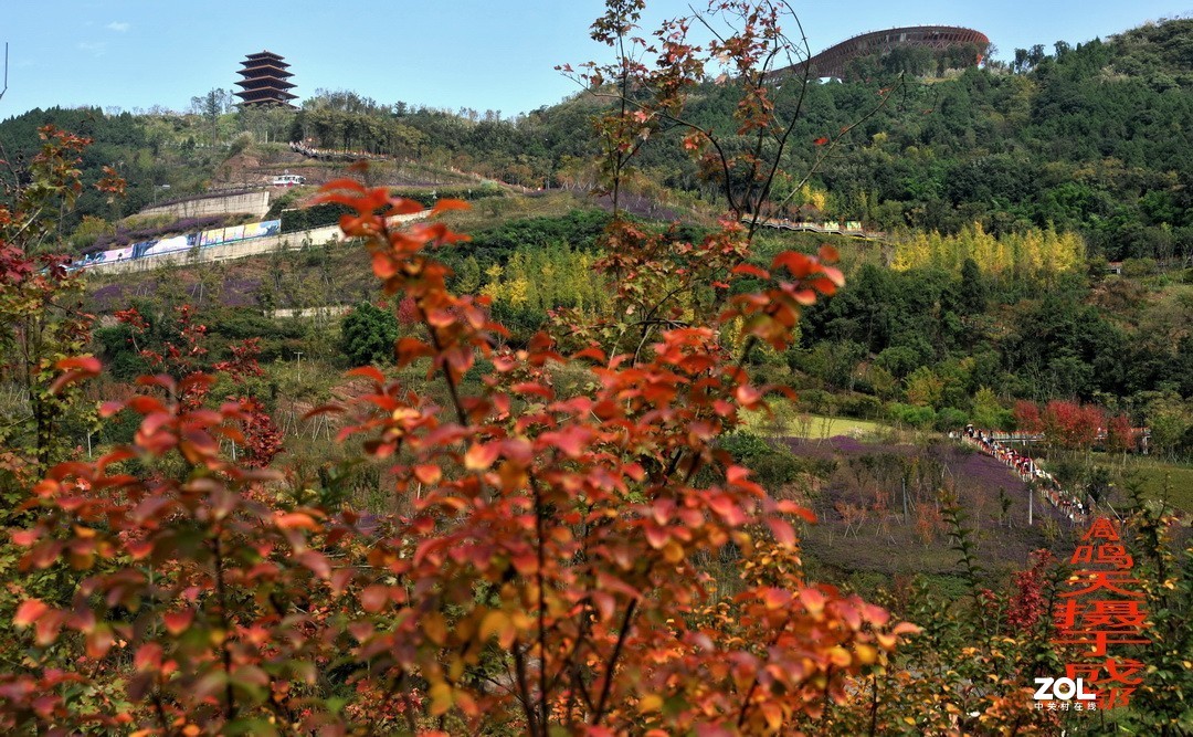 成都东部新区扫描      周鸣天