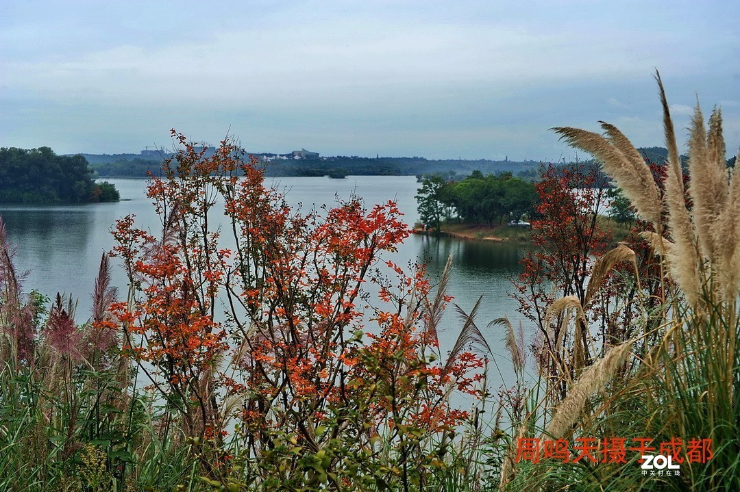 成都东部新区扫描      周鸣天