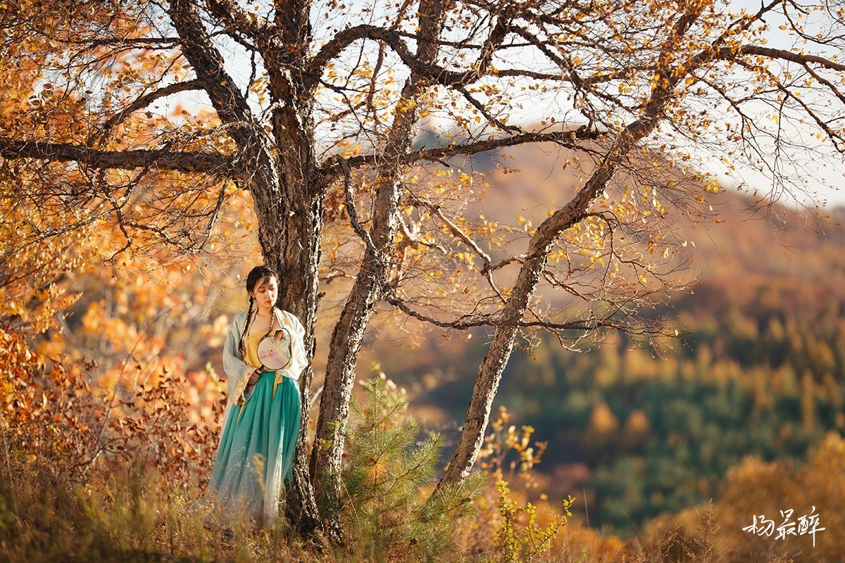 伴云归，迎风艳