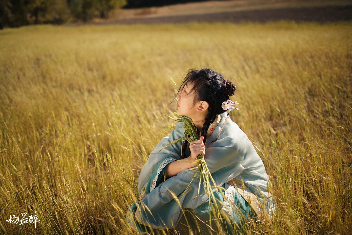 伴云归，迎风艳