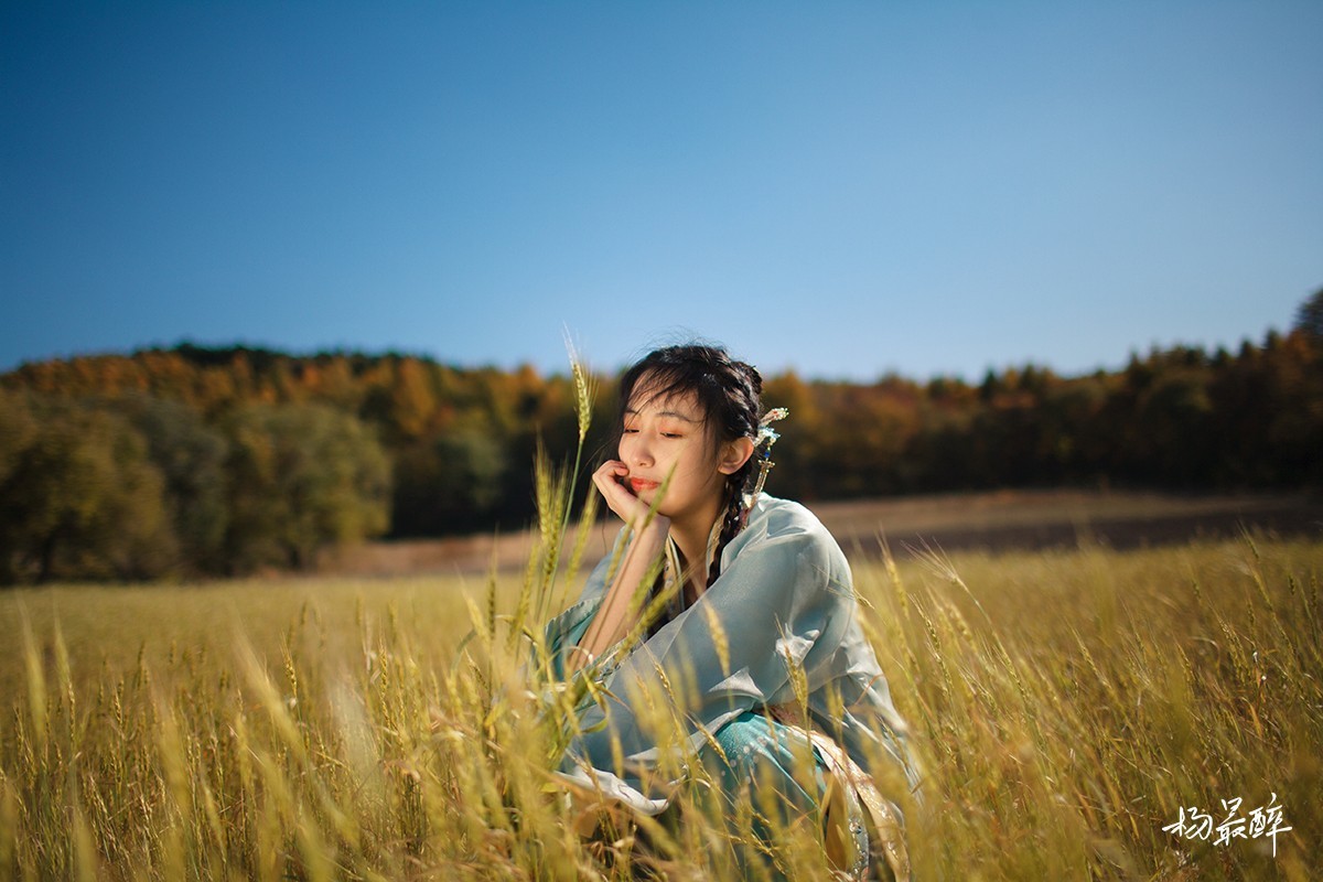 伴云归，迎风艳