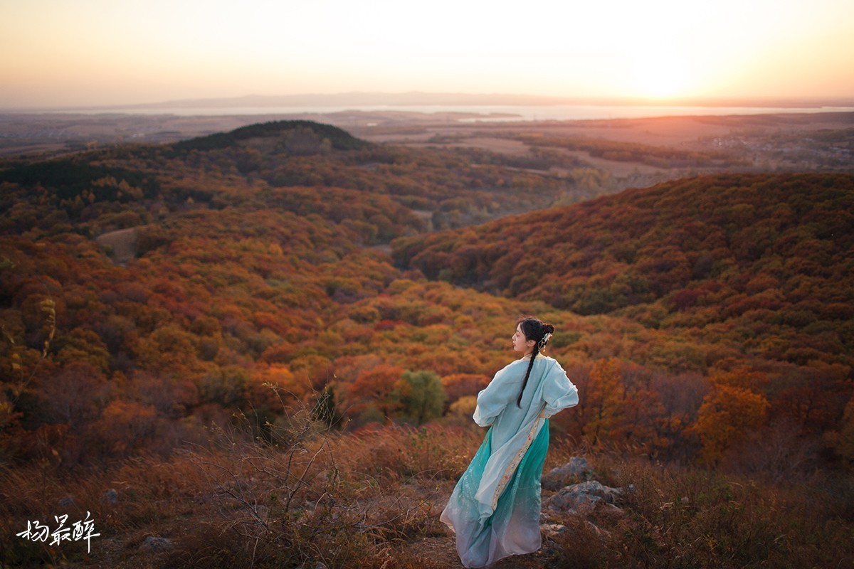 伴云归，迎风艳