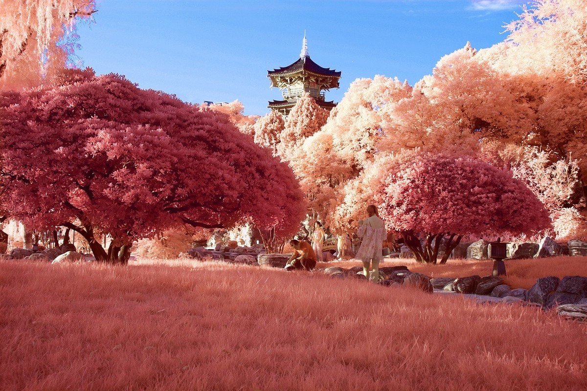 西安兴庆公园小景（530nm滤镜初试）