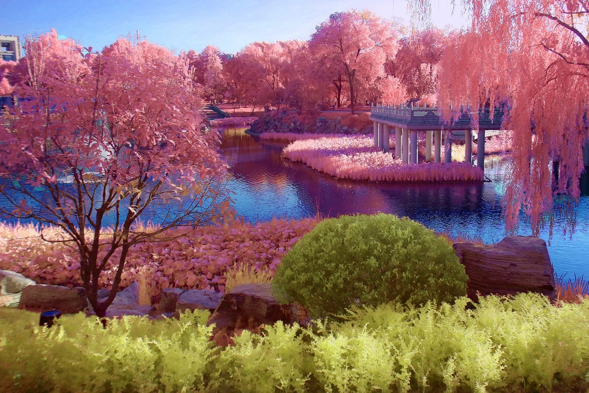 西安兴庆公园小景（530nm滤镜初试）