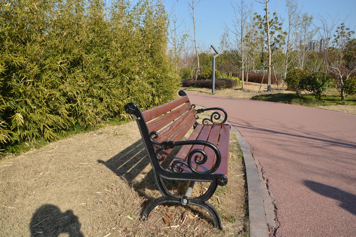 17-70 OS HSM 新手试拍 直出