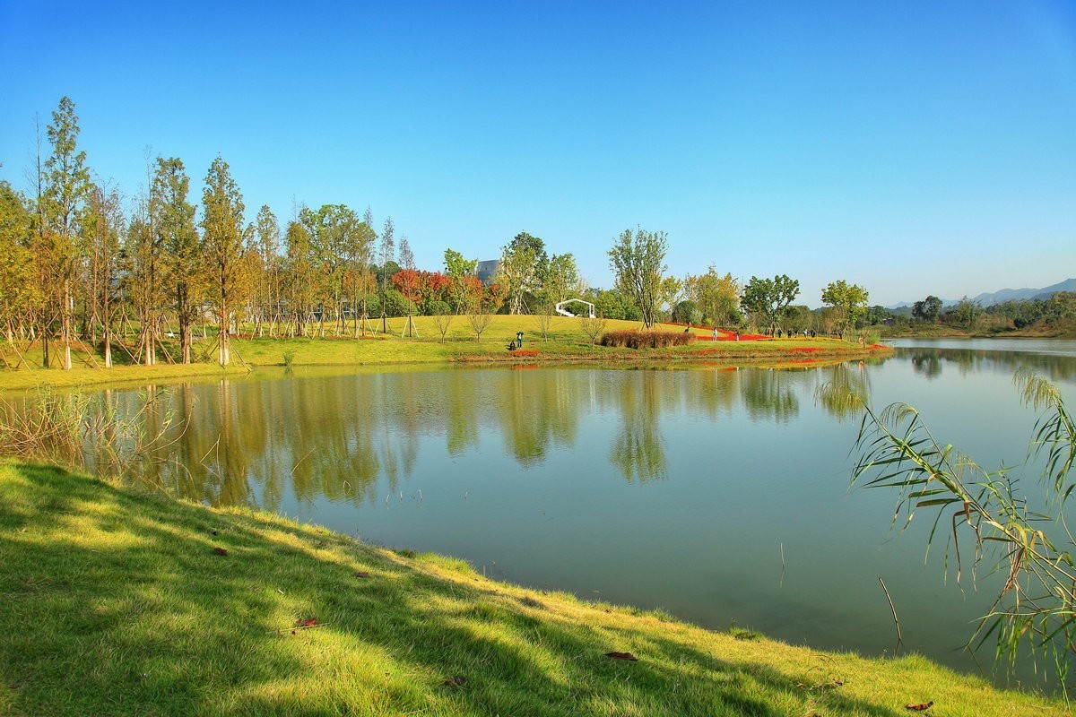明月湖风景（二） 中关村在线摄影论坛 