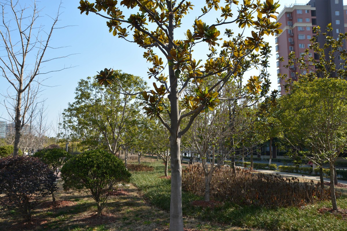 17-70 OS HSM 新手试拍 直出