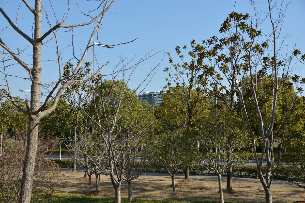 17-70 OS HSM 新手试拍 直出