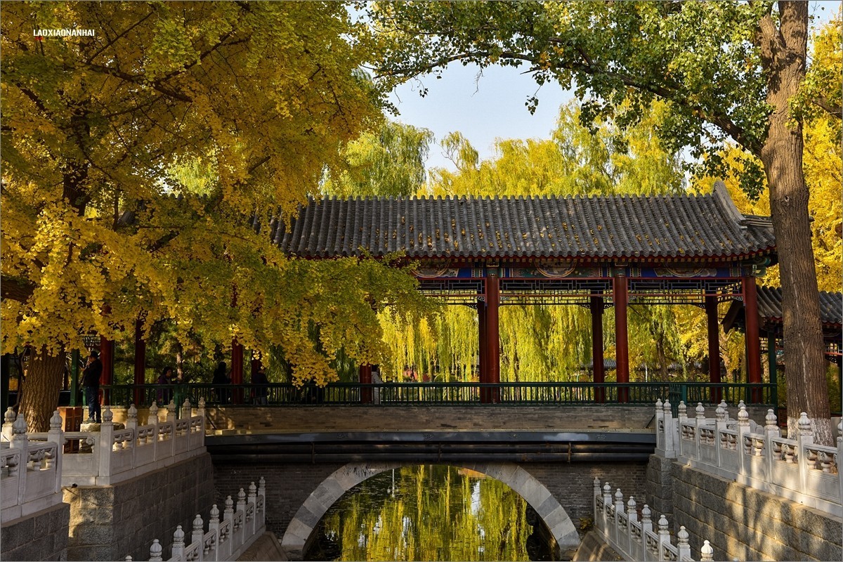2019中山公园-旅游攻略-门票-地址-问答-游记点评，上海旅游旅游景点推荐-去哪儿攻略