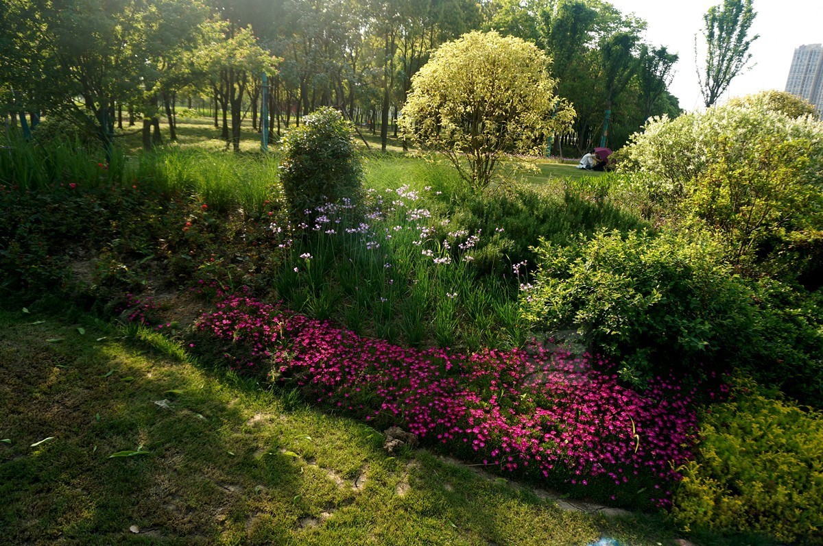 【家乡美】黄塘湖畔艳阳春——武汉随笔