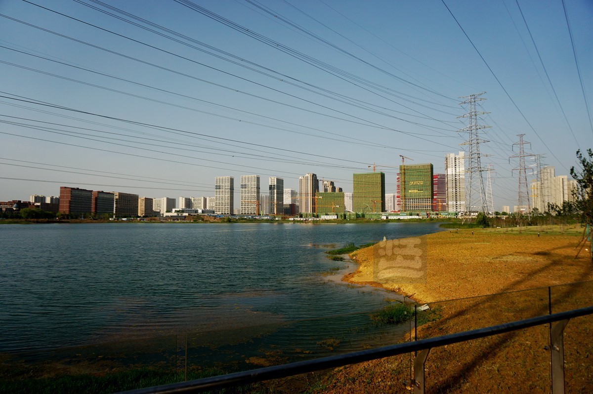 【家乡美】黄塘湖畔艳阳春——武汉随笔