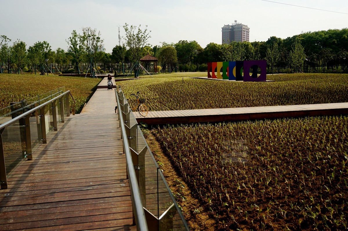 【家乡美】黄塘湖畔艳阳春——武汉随笔