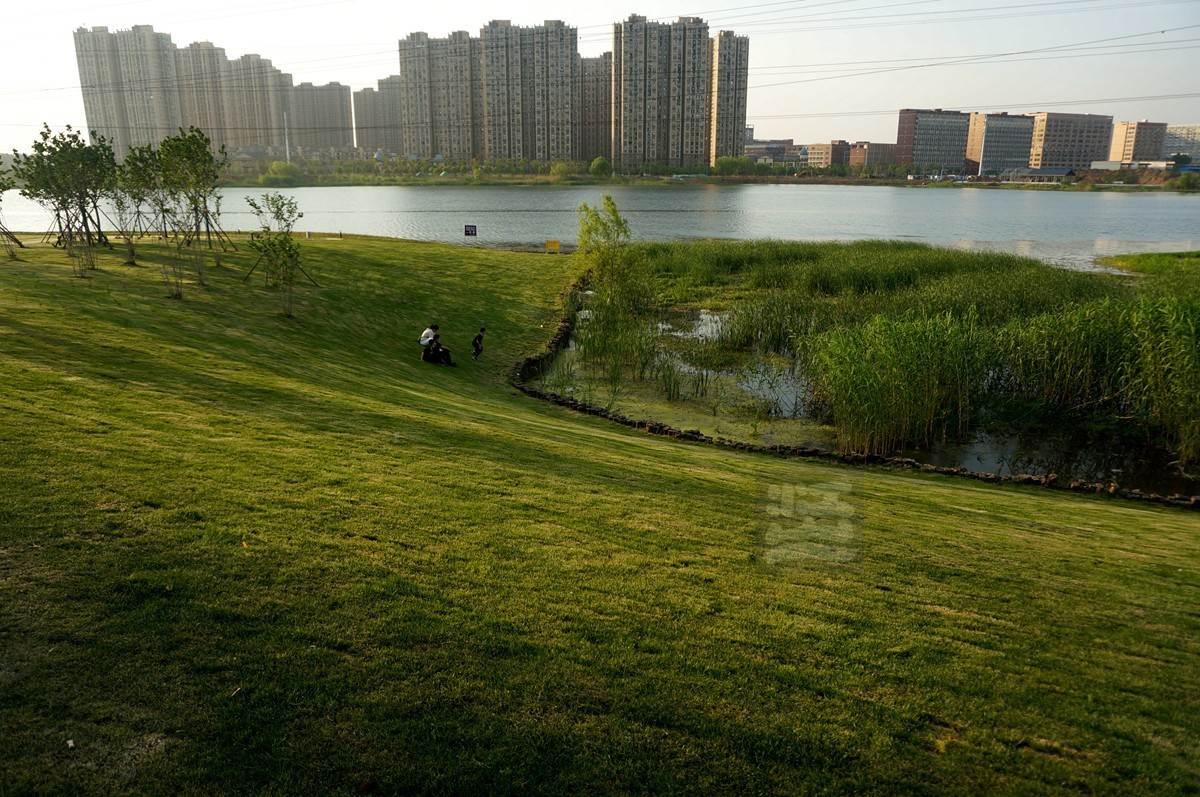 【家乡美】黄塘湖畔艳阳春——武汉随笔