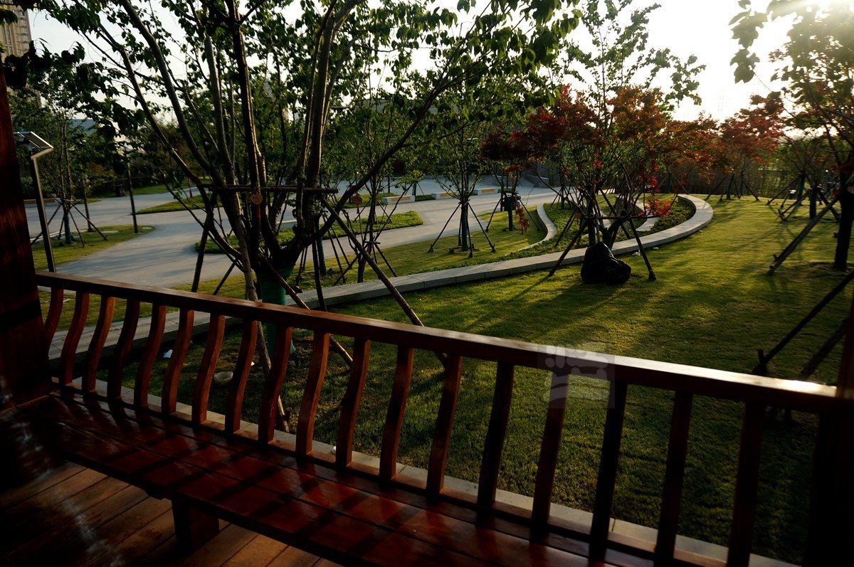 【家乡美】黄塘湖畔艳阳春——武汉随笔