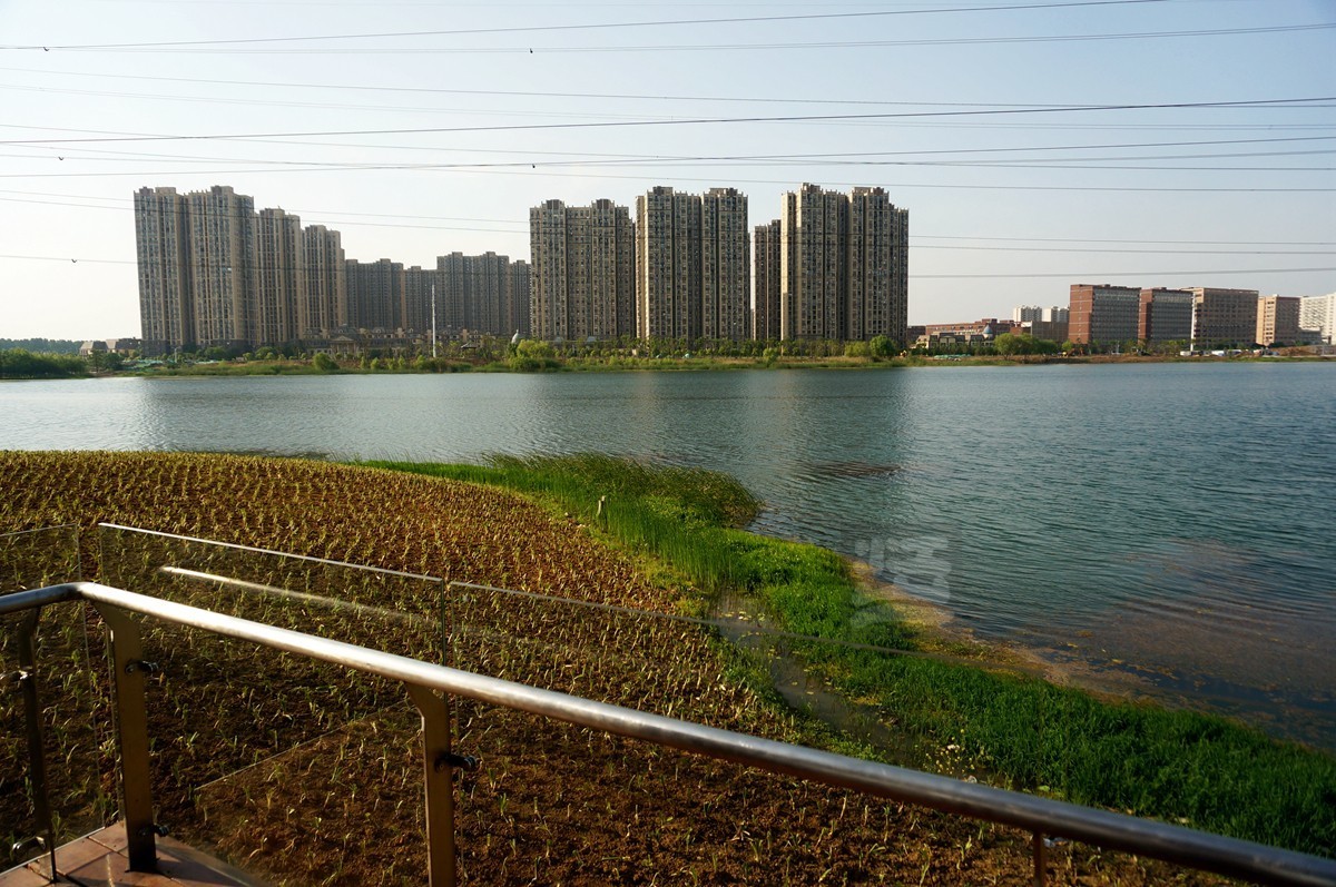 【家乡美】黄塘湖畔艳阳春——武汉随笔