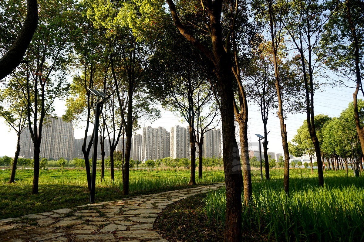 【家乡美】黄塘湖畔艳阳春——武汉随笔