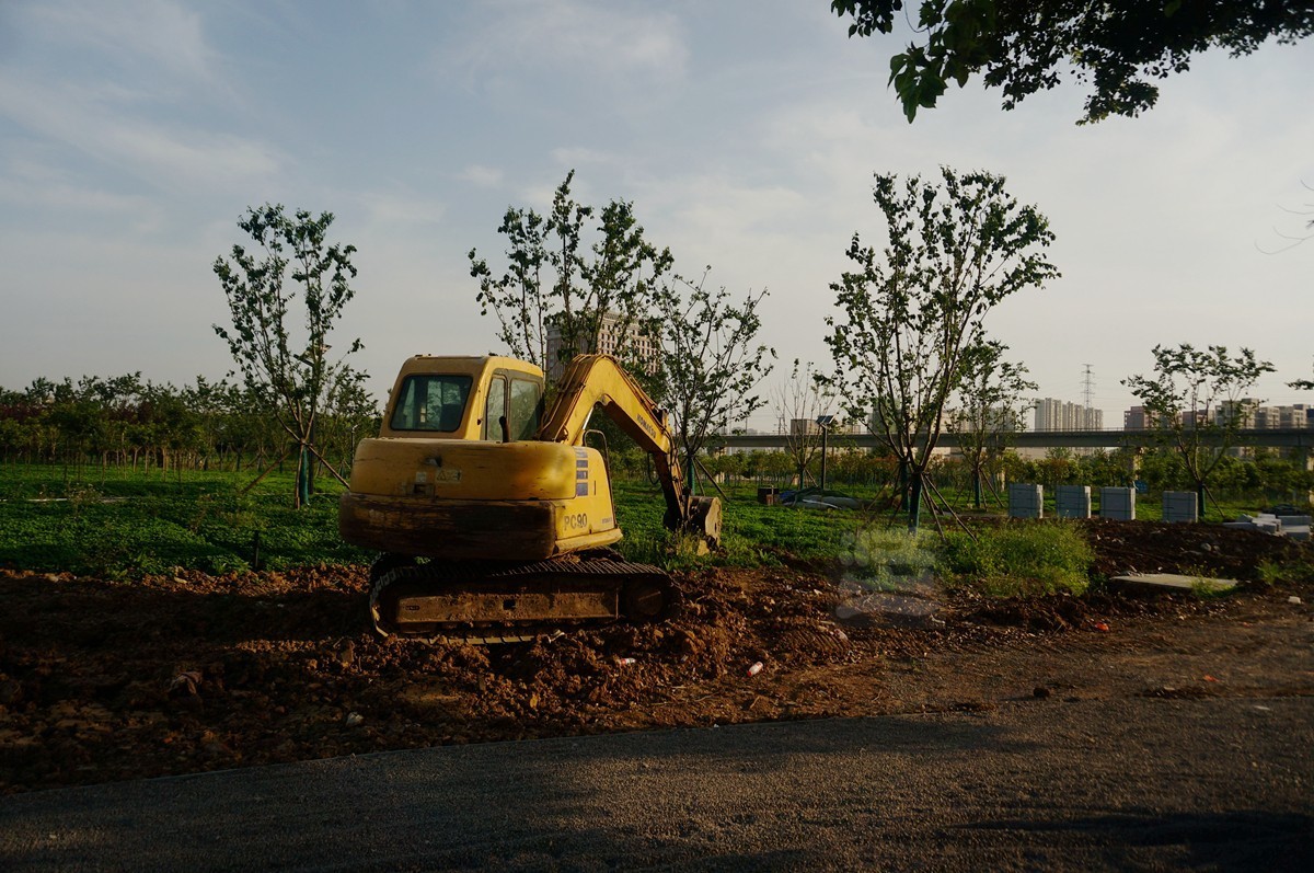 【家乡美】黄塘湖畔艳阳春——武汉随笔