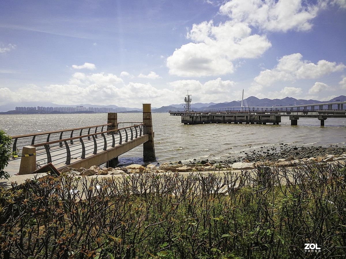 深圳湾红树林公园掠影