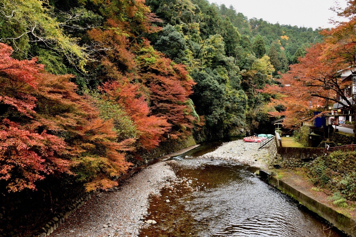 日本关西红叶狩京都篇高雄山赏红叶2