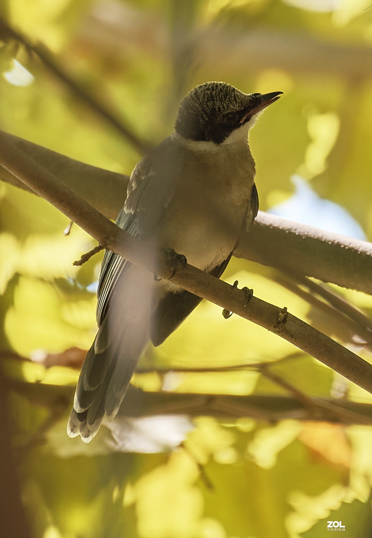 秋游 · 长沟湿地公园&葡萄酒庄园