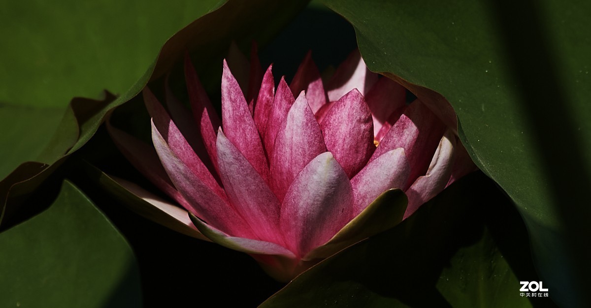 秋游 · 长沟湿地公园&葡萄酒庄园