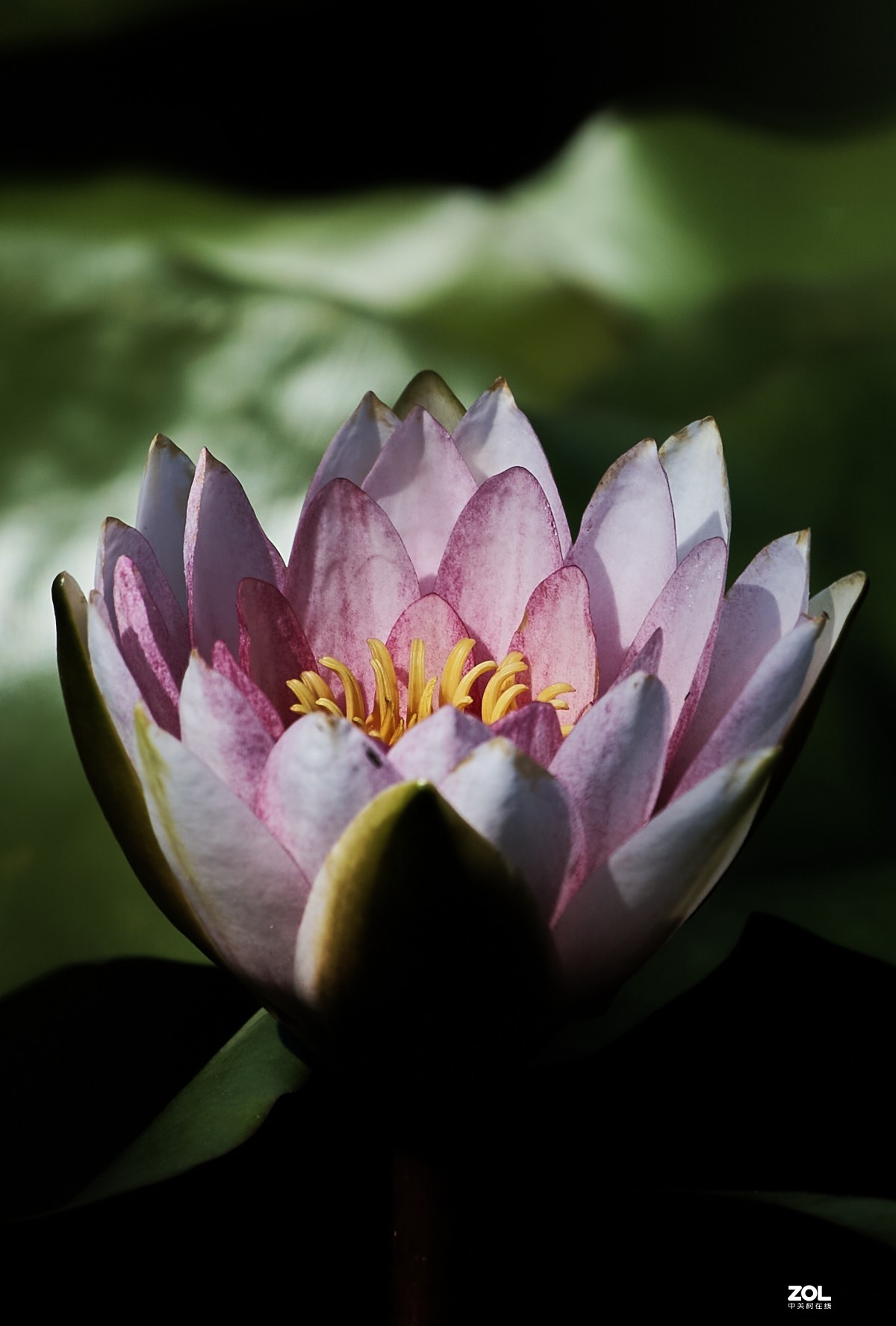 秋游 · 长沟湿地公园&葡萄酒庄园