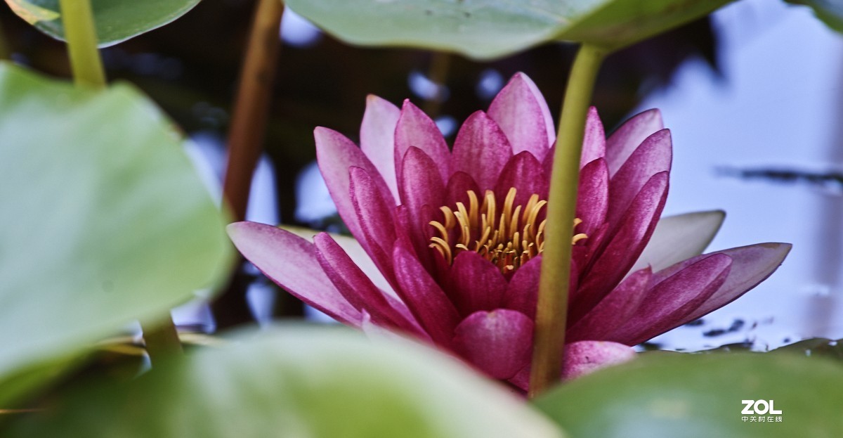 秋游 · 长沟湿地公园&葡萄酒庄园