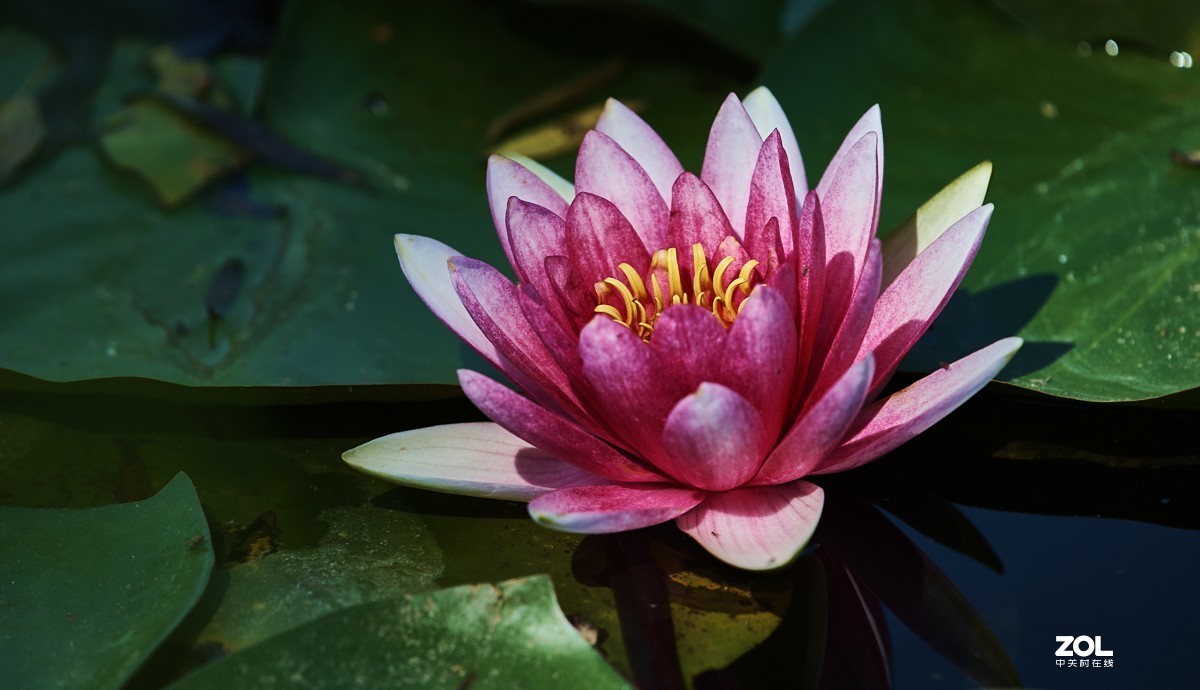 秋游 · 长沟湿地公园&葡萄酒庄园