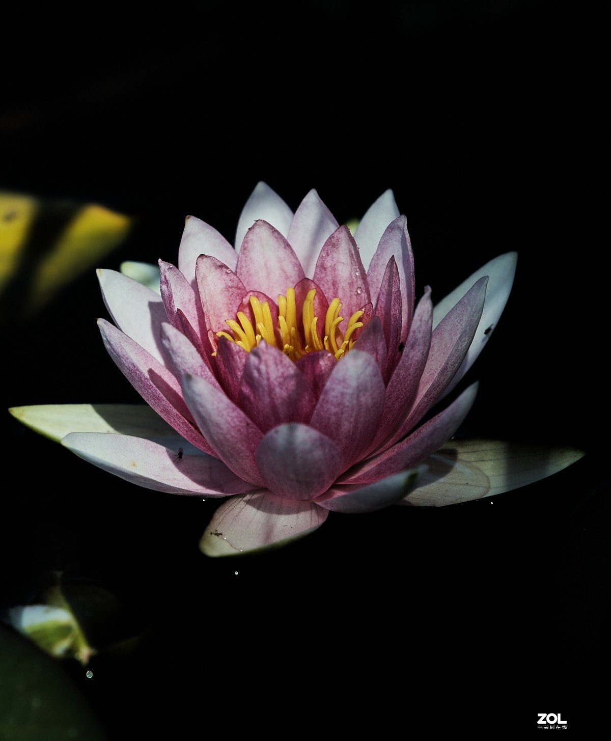 秋游 · 长沟湿地公园&葡萄酒庄园