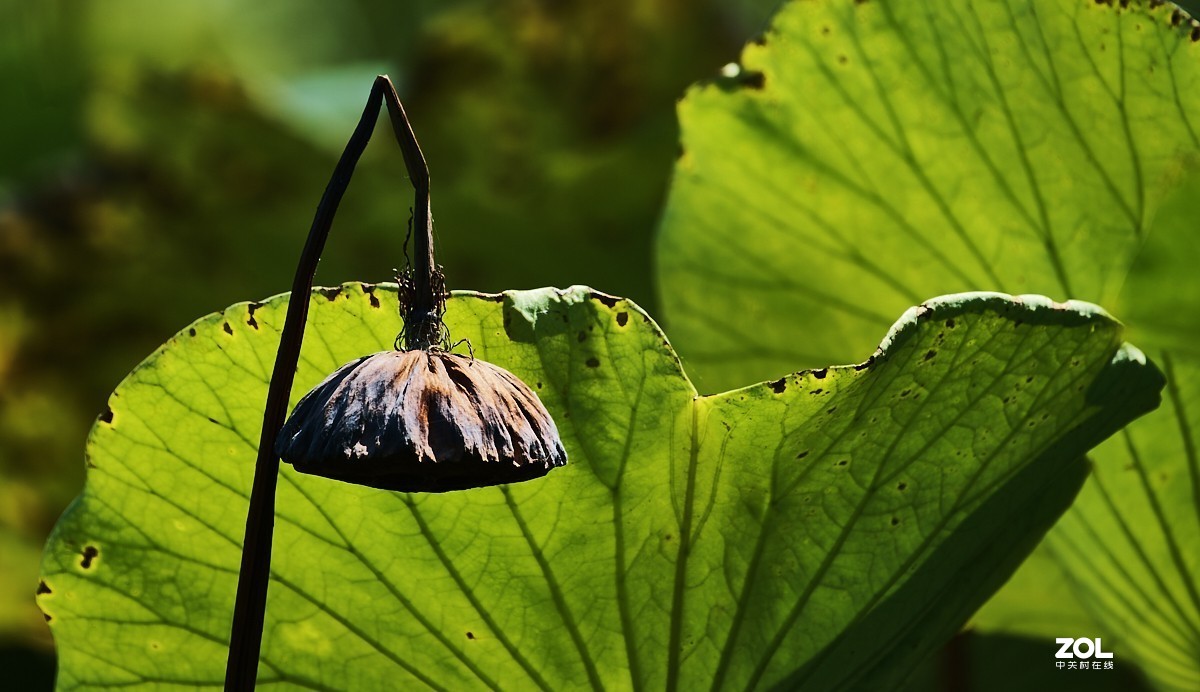 秋游 · 长沟湿地公园&葡萄酒庄园