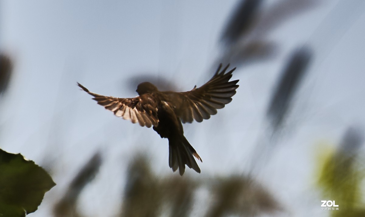 秋游 · 长沟湿地公园&葡萄酒庄园