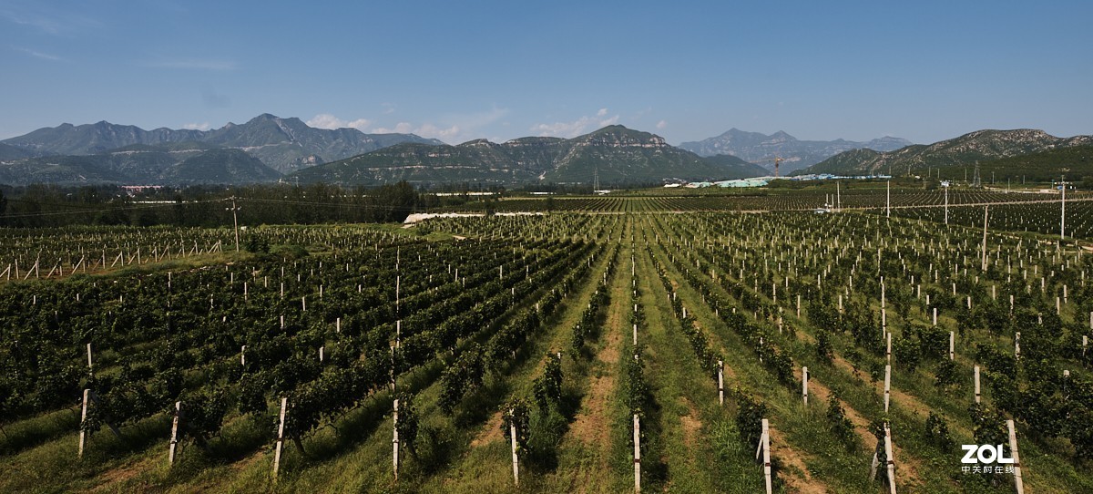秋游 · 长沟湿地公园&葡萄酒庄园