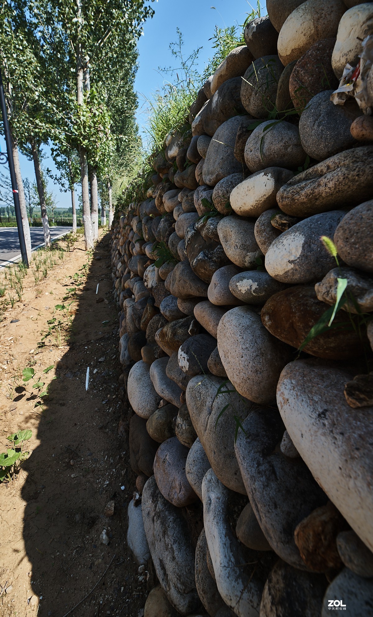 秋游 · 长沟湿地公园&葡萄酒庄园