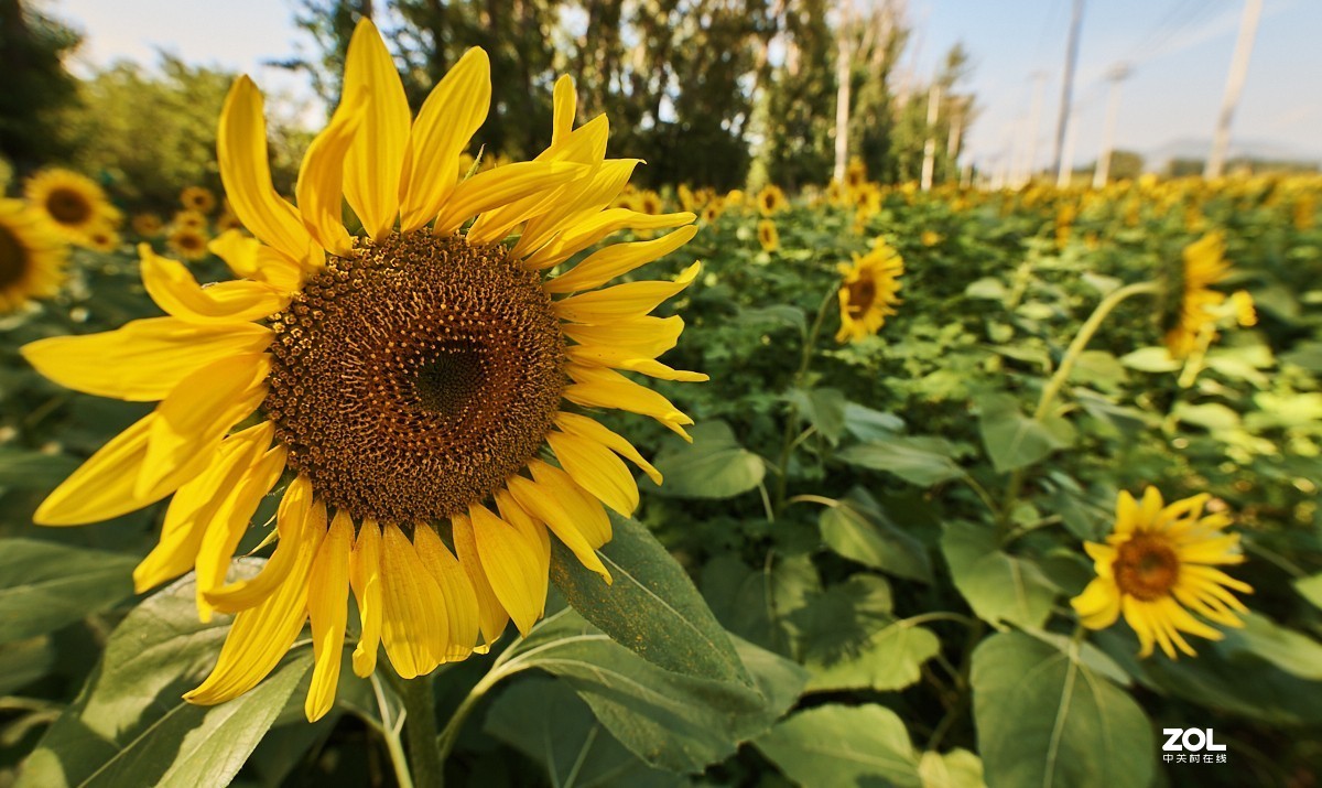 秋游 · 长沟湿地公园&葡萄酒庄园