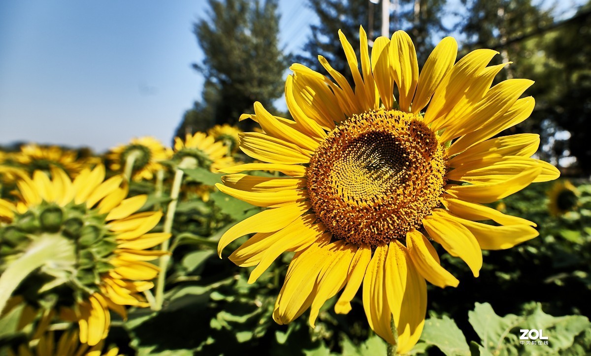 秋游 · 长沟湿地公园&葡萄酒庄园