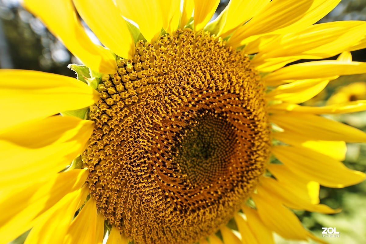 秋游 · 长沟湿地公园&葡萄酒庄园