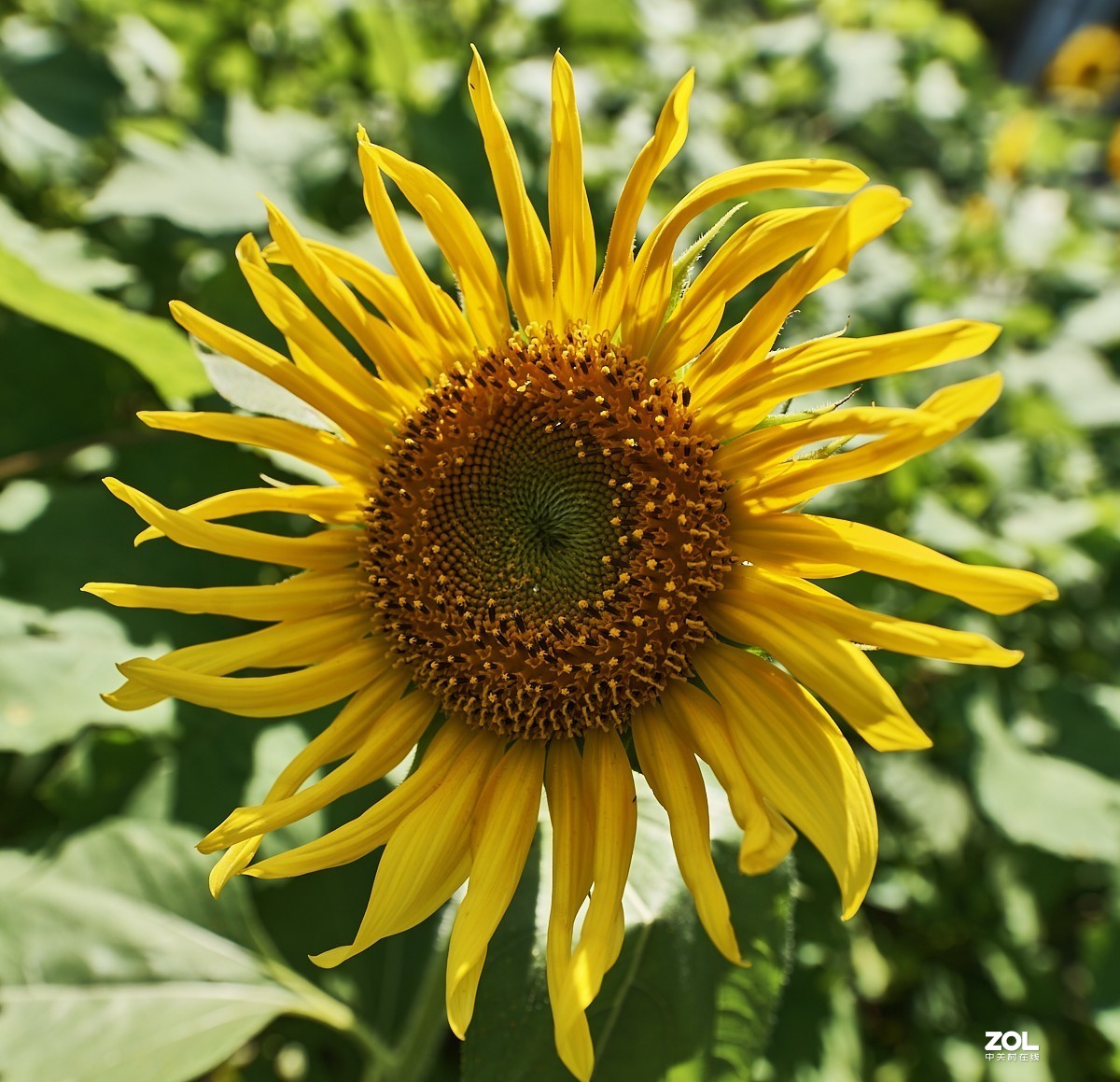 秋游 · 长沟湿地公园&葡萄酒庄园