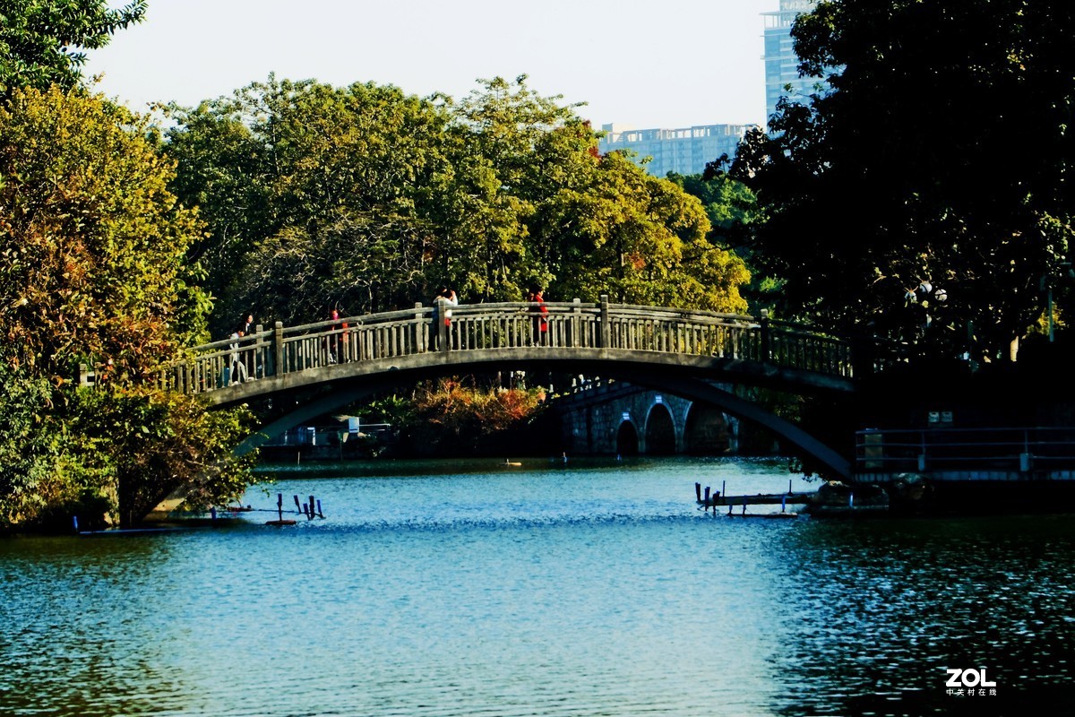 遊東湖公園隨拍