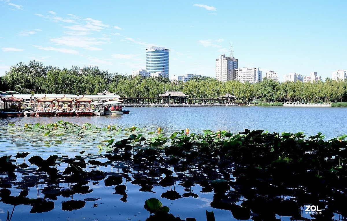 莲 花 池 公 园 风 景（2）