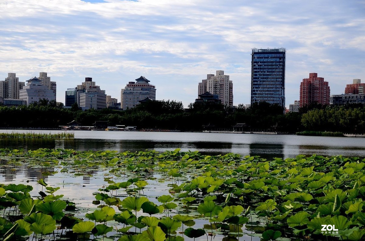莲 花 池 公 园 风 景（2）