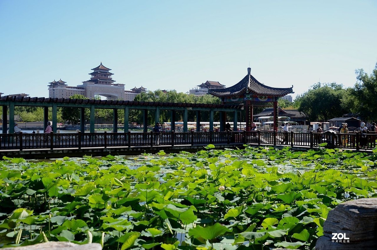 莲 花 池 公 园 风 景（2）