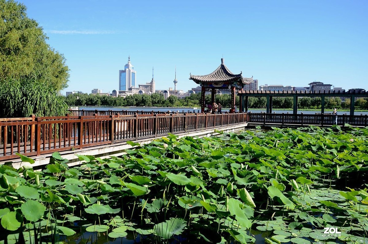 莲 花 池 公 园 风 景（2）