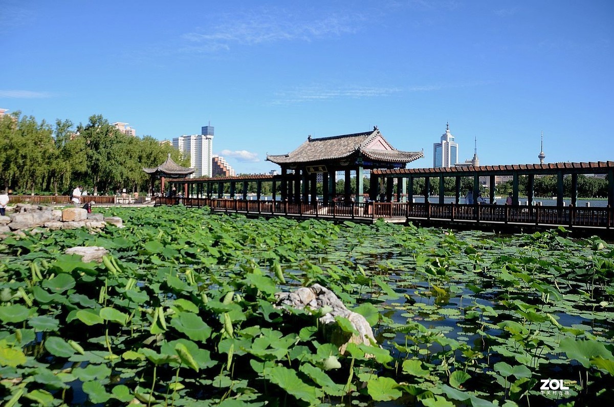 莲 花 池 公 园 风 景（2）