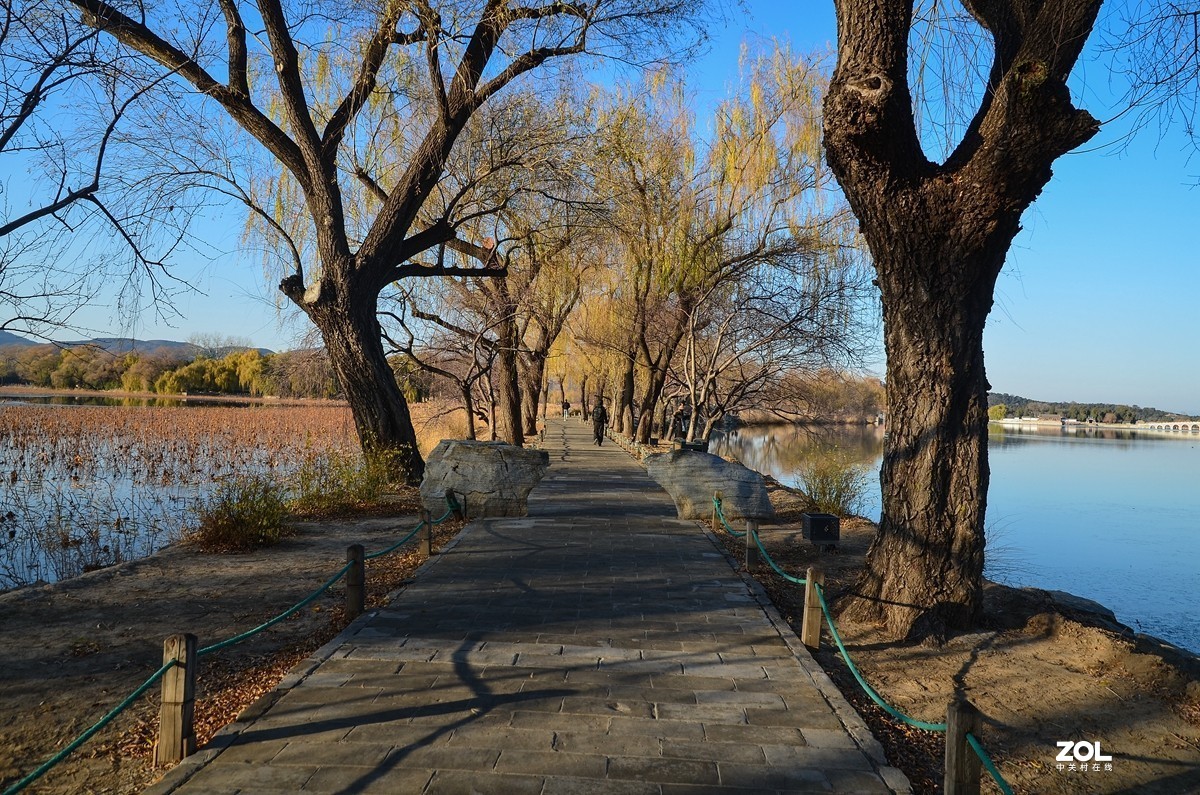 赶在昆明湖水冰冻之前（2）